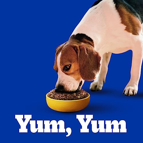 PEDIGREE Alimento para Perros Adultos de Razas Pequeñas 10 kg, Amarillo