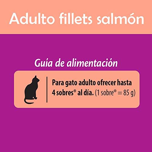 Whiskas Alimento Húmedo para Gatos, Sabor Salmón 85g c/u. Paquete de 24 Unidades