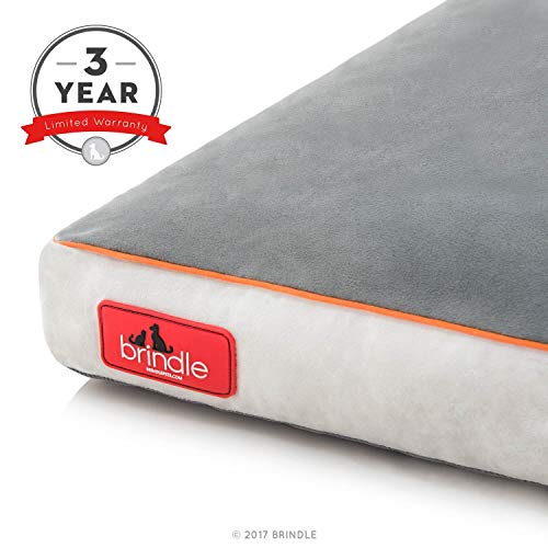 BRINDLE Soft Memory Foam Dog Bed with Removable Washable Cover - 17in x 11in - Stone