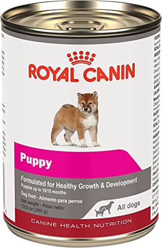 Royal CANIN 12 LATAS Wet All Dogs Cachorro 385g