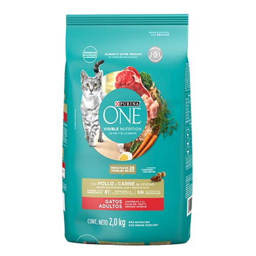 Purina One Dry Gato Gato Adulto Carne 2kg