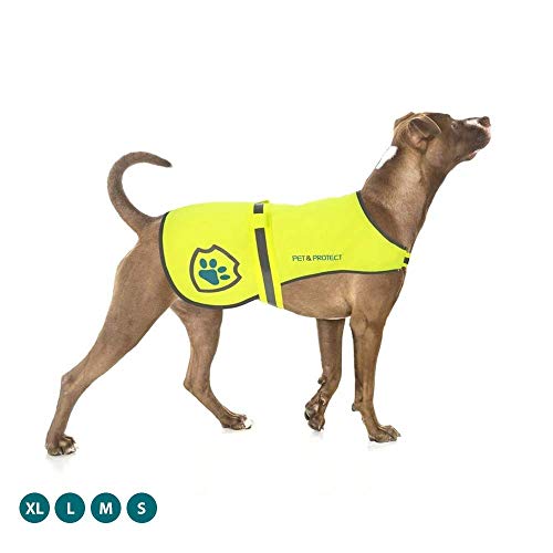 Chaleco reflectante para perros Pet &amp; Protect Premium (neón) Seguridad de alta visibilidad | Caminar, trotar, entrenar | Tamaños para adaptarse a razas pequeñas, medianas y grandes de 16 a 130 libras. (XL)