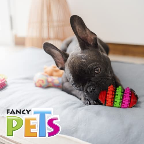 Fancy Pets Juguete de Engranes para Perro, Varios Colores