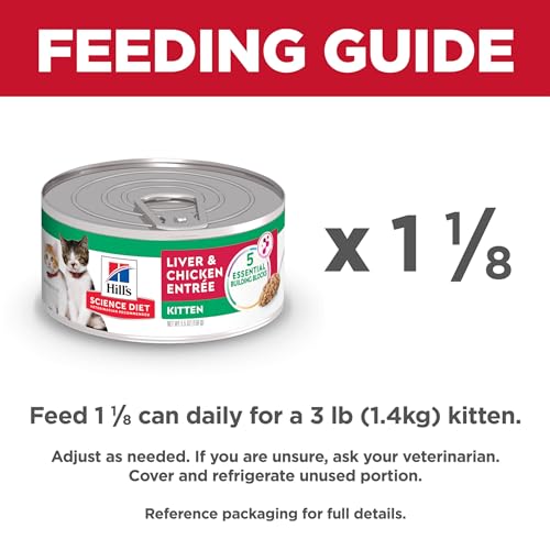 Hill's Science Diet, Alimento Enlatado para Gato, Kitten, Sabor Liver & Chicken, 0.156 kg (pacote de 24)