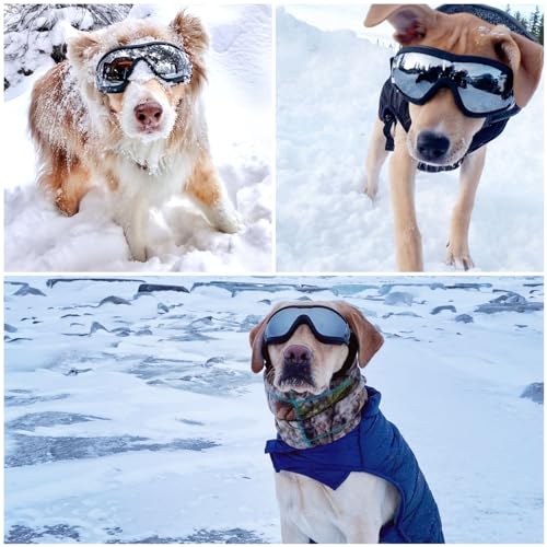 Namsan Gafas para Perros Medianas-Grandes Lentes de Sol para Perros Prueba de Viento-Nieve Glasses, Correas Elásticas Ajustables