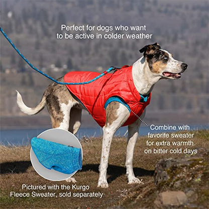 Kurgo Loft Dog Jacket and Reversible Dog Coat, Deep Violet Purple / Light Charcoal Gray, Large