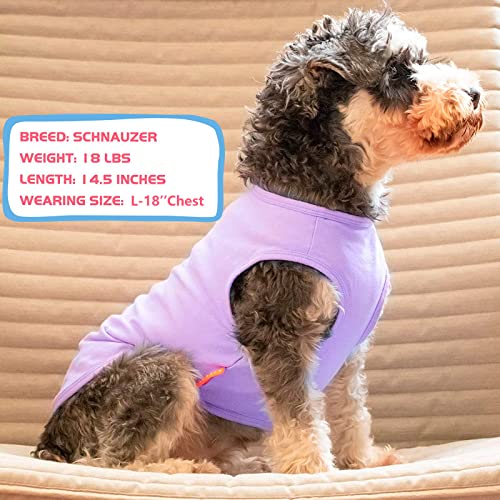 KYEESE Paquete de 2 camisetas de algodón a rayas para perros medianos, camiseta sin mangas, chaleco suave, camiseta para perro, ropa para perro