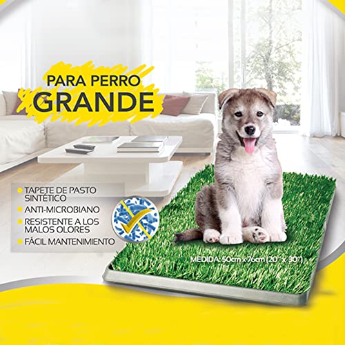 Fancy Pets Repuesto para Doggie Grass Tamaño Grande para Perro