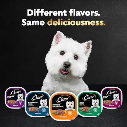 CESAR GOURMET FILETS Variety Pack Filet Mignon & New York Strip Flavor Dog Food (Two 12-Count Cases)