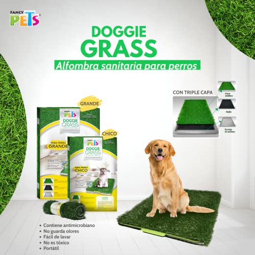 Fancy Pets Doggie Grass Chico de Entrenamiento para Perro