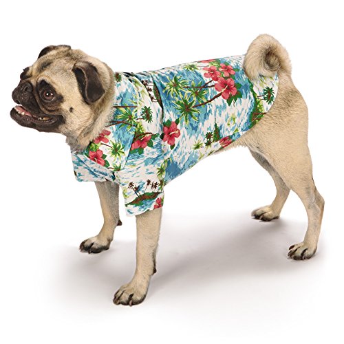 Casual Canine Hawaiian Breeze - Camisa de Campamento para Perros, 16 Pulgadas, Talla M