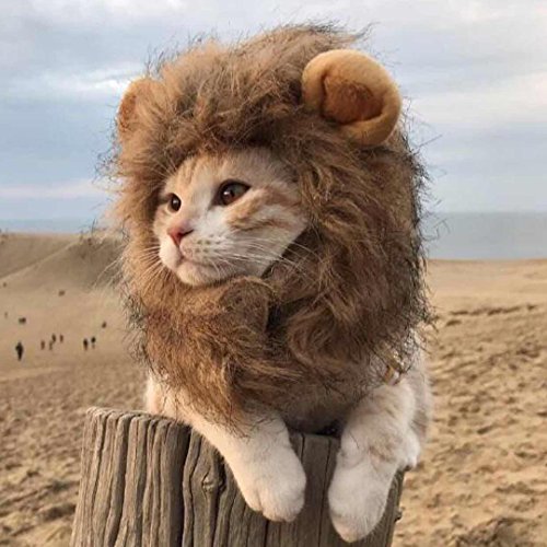 Namsan Disfraz de Halloween para Mascotas Gato Peluca de Melena de León Traje de Halloween Perro Pequeño Sombrero de León