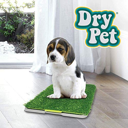 Fancy Pets Dry Pet Doggie Grass Tapete Entrenador para Perro Tamaño Chico