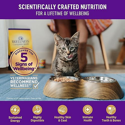 Wellness Natural Grain Free comida húmeda enlatada para gatos, paté de pavo, lata de 3 onzas (paquete de 24)