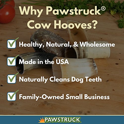 Pezuñas de vaca naturales para perros (paquete de 10) – Fabricado en los Estados Unidos, golosinas dentales para perros a granel y masticables para perros, pezuña de res, fabricado en Estados Unidos