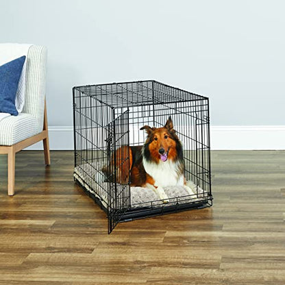 New World - Caja plegable de metal para perros, puerta individual y doble, Puerta única, Negro, 91.44 cm
