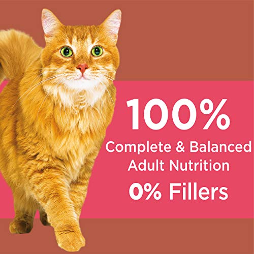 Iams Proactive Health Alimento seco para gatos adultos con alto contenido de proteínas con pollo y salmón, bolsa de 6 libras