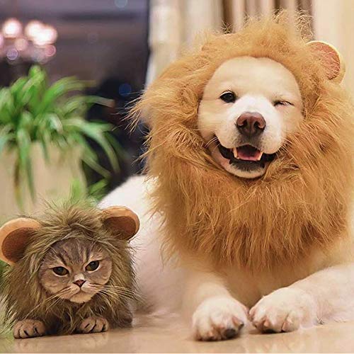 Namsan Disfraz de Halloween para Mascotas Gato Peluca de Melena de León Traje de Halloween Perro Pequeño Sombrero de León