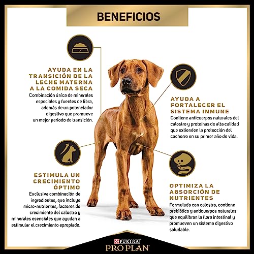 Purina Pro Plan Perro Cachorro Large Breed Razas Grandes 10 Kg