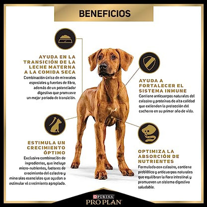 Purina Pro Plan Perro Cachorro Razas Grandes Razas Grandes 10 Kg