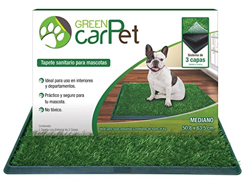 GREEN CARPET Tapete Entrenador para Perro Baño para Mascotas con Pasto Sintético (Mediano 50x63cm)