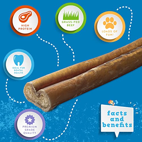 Jack&Pup 12-Inch Premium Grade Odor Free Bully Sticks Dog Treats [Extra-Thick], (3 Pack) - 12" Long All Natural Gourmet Dog Treat Chews - Fresh and Savory Beef Flavor - 30% Longer Lasting