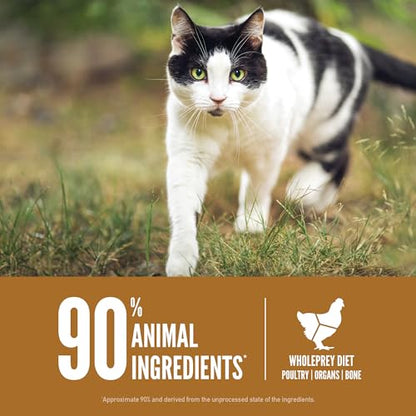 ORIJEN Alimento seco para gatos, gatos y gatitos, biológicamente apropiado y sin cereales, 12 libras