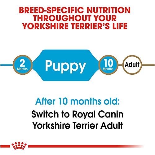 Royal Canin Croquetas para Yorkshire Terrier Puppy, 1.13 kg (El empaque puede variar)