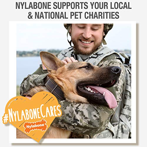 Nylabone Healthy Edibles Golosinas para perros con astas de venado salvaje | Todas las golosinas naturales para perros sin cereales fabricadas únicamente en los EE. UU. | Golosinas masticables para perros pequeños y grandes | 2 cuentas