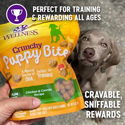 Wellness Crunchy Puppy Bites Grain Free Chicken & Carrots Natural Dog Treats, 6-Ounce Bag