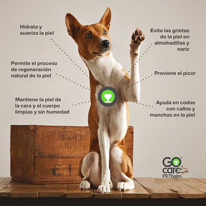 Vaya cuidado | Bálsamo Natural para Mascotas 50g - Ideal para Perros y Gatos - Protección y Reparación de Piel - 100% Natural - Bálsamo Hidratante para Mascotas