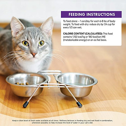 Wellness Natural Grain Free comida húmeda enlatada para gatos, paté de pavo, lata de 3 onzas (paquete de 24)