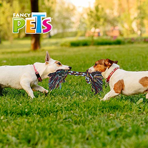 Fancypets Fancy Pets Hueso de Hilo para Perro Multicolor Tamaño Extrachico 25 Centímetros.