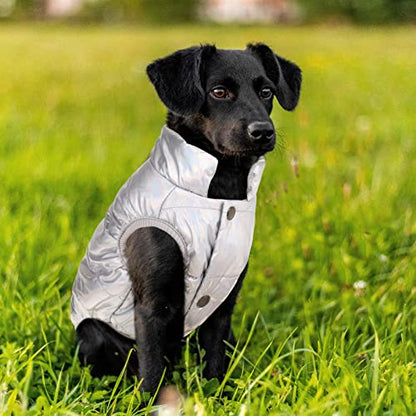 ASENKU Abrigo de invierno resistente al viento para perro, chaqueta impermeable para perro, chaleco cálido para clima frío, ropa para mascotas con 2 capas de forro polar para perros pequeños, medianos y grandes (plateado, XL)