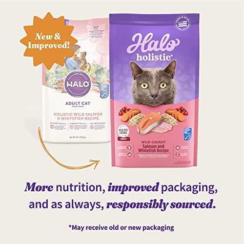 Alimento seco para gatos adultos Halo, salmón salvaje y pescado blanco, bolsa de 6 libras