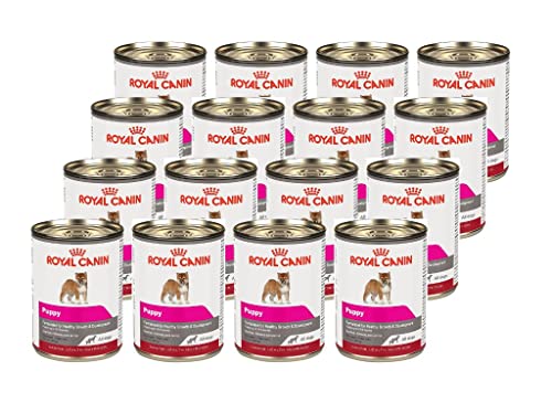 Royal CANIN 12 LATAS Wet All Dogs Puppy 385g