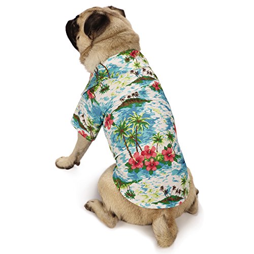 Casual Canine Hawaiian Breeze - Camisa de Campamento para Perros, 16 Pulgadas, Talla M