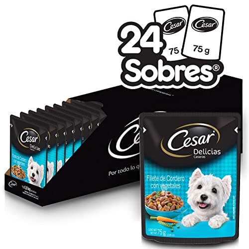 CESAR Alimento Húmedo para Perros Adultos, Sabor Cordero y Vegetales 75g c/u. Paquete de 24 Unidades