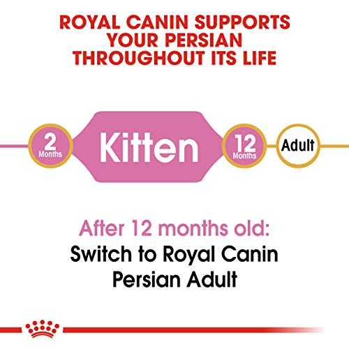 Royal Canin Alimento seco para gatos adultos para gatitos persas de raza felina, 3 libras