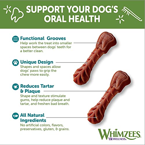 Whimzees WHZ301 48 unidades cepillo de dientes Star Value Bag Doggie Dental Chews, X-Small