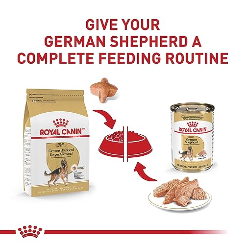 Royal Canin - Alimento seco para perros adultos, 13,5 kg