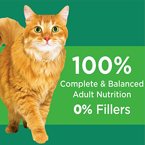 IAMS Proactive Health Senior Plus (11 Years Old and Older) Chicken Recipe Dry Cat Food 16 Pounds