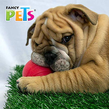Fancy Pets Juguete Chew Pelota para Perro