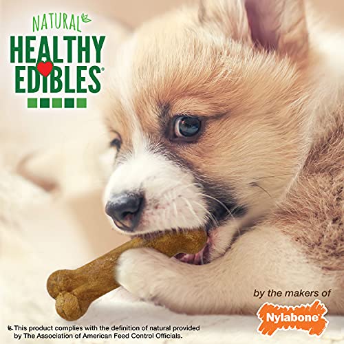 Nylabone Healthy Edibles Petite Huesos para perros con sabor a cordero y manzana, 8 unidades