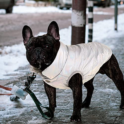 ASENKU Abrigo de invierno resistente al viento para perro, chaqueta impermeable para perro, chaleco cálido para clima frío, ropa para mascotas con 2 capas de forro polar para perros pequeños, medianos y grandes (plateado, XL)