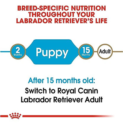 Royal Canin - Croquetas para Cachorro Labrador, 13.6 kg (El empaque puede variar)