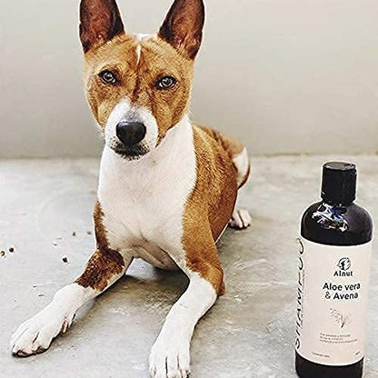 Alnut Shampoo para Perro y Gato 480ml. Hipoalergénico con extractos de Aloe Vera y Avena Libre sulfatos, parabenos y siliconas, hidratante y Suave con Piel y Pelaje.