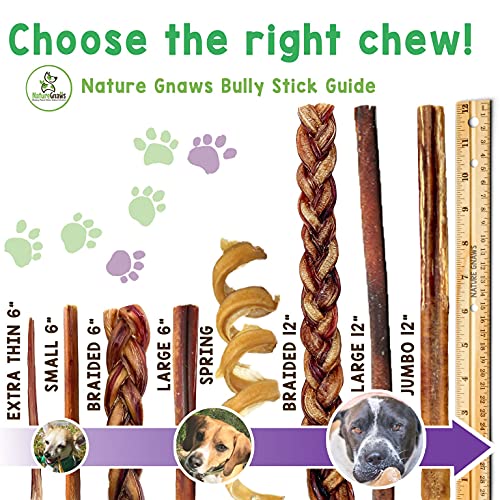 Nature Gnaws Braided Bully Sticks for Dogs - Premium Natural Beef Bones - Long Lasting Dog Chew Treats for Small and Medium Breeds - Rawhide Free - 6 Inch (3 Count)