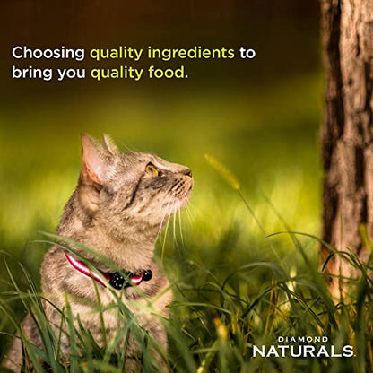 Diamond Pet Foods - Alimento seco INDCAT18 Naturals para gatos adultos, fórmula para pollo con control de bolas de pelo para interiores, bolsa de 18 libras