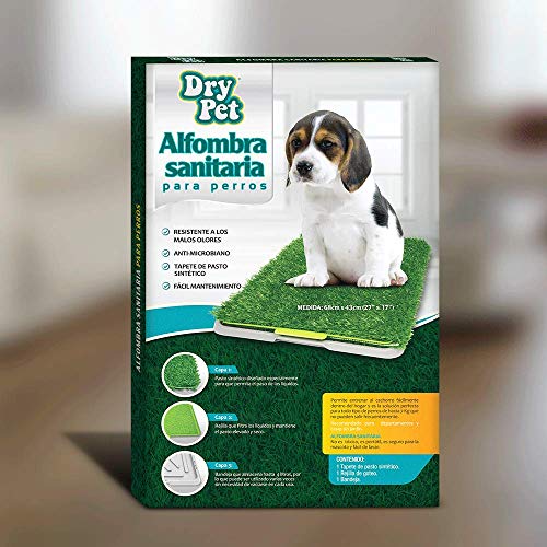 Fancy Pets Dry Pet Doggie Grass Tapete Entrenador para Perro Tamaño Chico